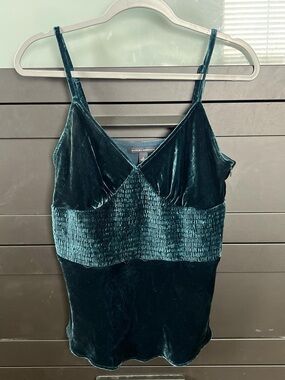 Banana Republic Deep Teal Velvet Top